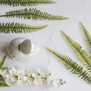 Image post by @panasonicpersonalcare on Instagram