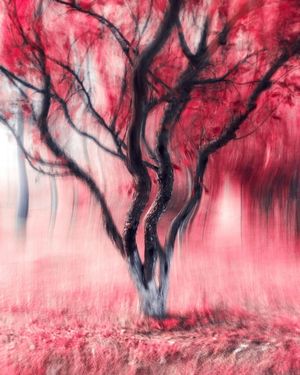 Image post by @unsplash on Instagram