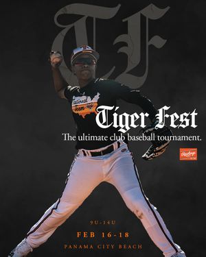 Image post by @rawlingstigers on Instagram