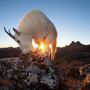 Image post by @discovery on Instagram