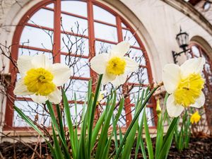 Image post by @montclairstateu on Instagram