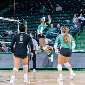 Image post by @herdvolleyball on Instagram