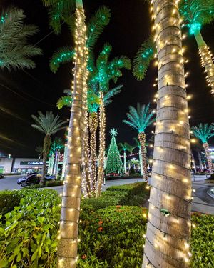 Image post by @visitsarasotacounty on Instagram