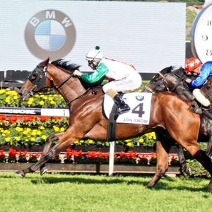 Image post by @australianturfclub on Instagram