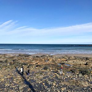 Image post by @themainemag on Instagram