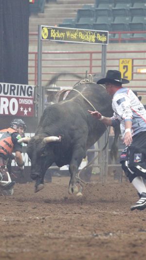 Video post by @pbrperrygaheartofgashootout on Facebook