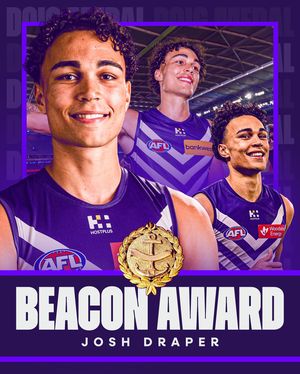Image post by @freodockers on Instagram