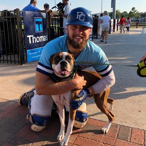 Image post by @ilmsharks on Instagram