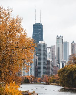 Image post by @matt.jwood on Instagram