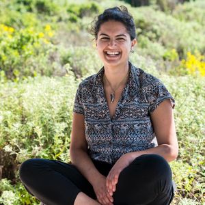 Image post by @ucsc on Instagram
