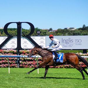 Image post by @australianturfclub on Instagram