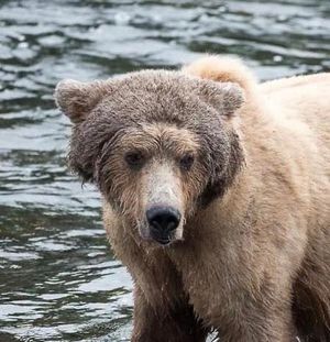 Image post by @nationalparkservice on Instagram