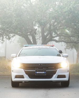 Image post by @palmbaypd on Instagram