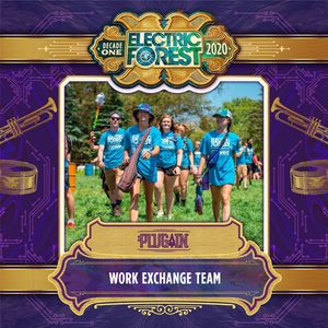 Image post by @electric_forest on Instagram