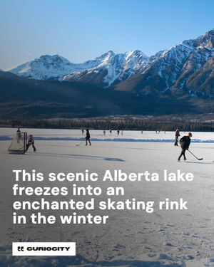 Image post by @curiocitycalgary on Instagram
