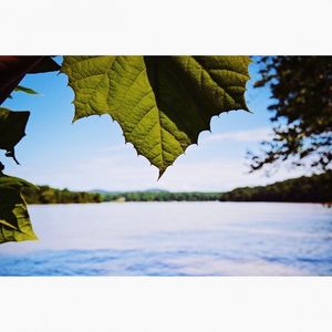 Image post by @griffinbphotography on Instagram