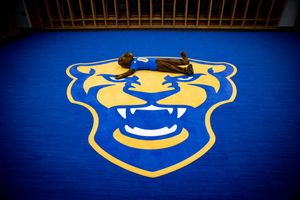 Image post by @ROCthePanther on Twitter