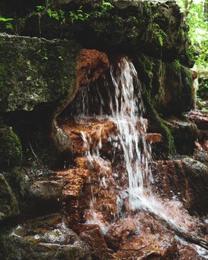 Image post by @nicolezaayerphotography on Instagram