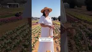 Video post by @jasminealleyblog on YouTube