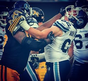 Image post by @torontoargos on Instagram