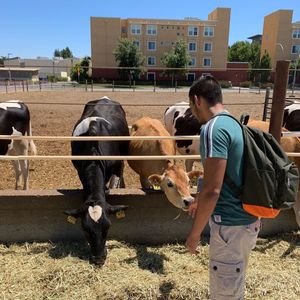 Image post by @ucdavishousing on Instagram