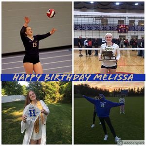 Image post by @hamiltoncollegevolleyball on Instagram