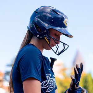 Image post by @gatechsoftball on Instagram