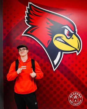 Image post by @isuredbirds on Instagram