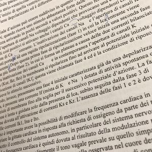 Image post by @alessandra_chiappa on Instagram
