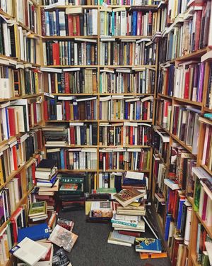 Image post by @themainemag on Instagram