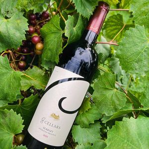 Image post by @chateau_elan on Instagram