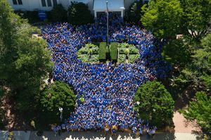 Image post by @hofstrau on Instagram
