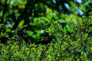 Image post by @jackportunephotography on Instagram