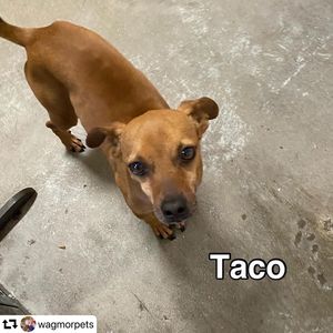 Image post by @ellendegeneres on Instagram