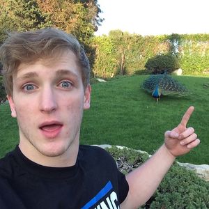 Image post by @loganpaul on Instagram