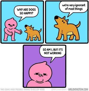 Image post by @9gag on Instagram