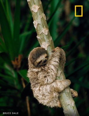 Image post by @NatGeo on Twitter