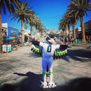 Image post by @blitztheseahawk on Instagram