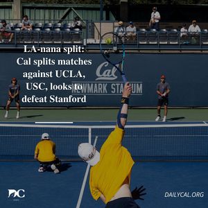 Image post by @dailycalsports on Instagram