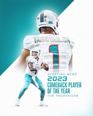 Image post by @miamidolphins on Instagram