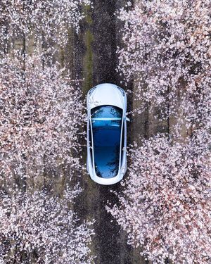 Image post by @fromwhereicharge on Instagram