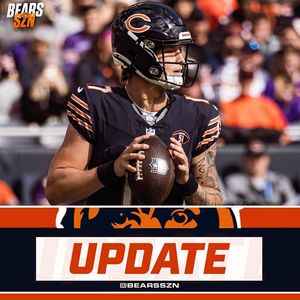 Image post by @bearsszn on Instagram