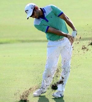 Image post by @plarrazabal on Instagram