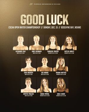 Image post by @purduewswimdive on Instagram