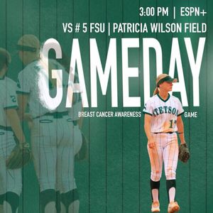Image post by @stetsonsoftball on Instagram