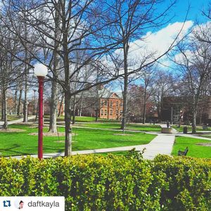Image post by @iupedu on Instagram