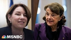 Video post by @msnbc on YouTube