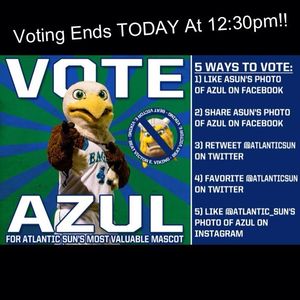 Image post by @fgcuathletics on Instagram