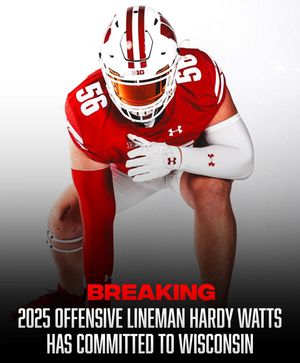 Image post by @rollbadgers on Instagram