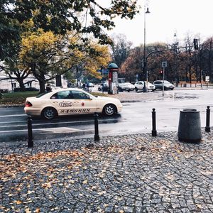 Image post by @tanya_zavadich on Instagram
